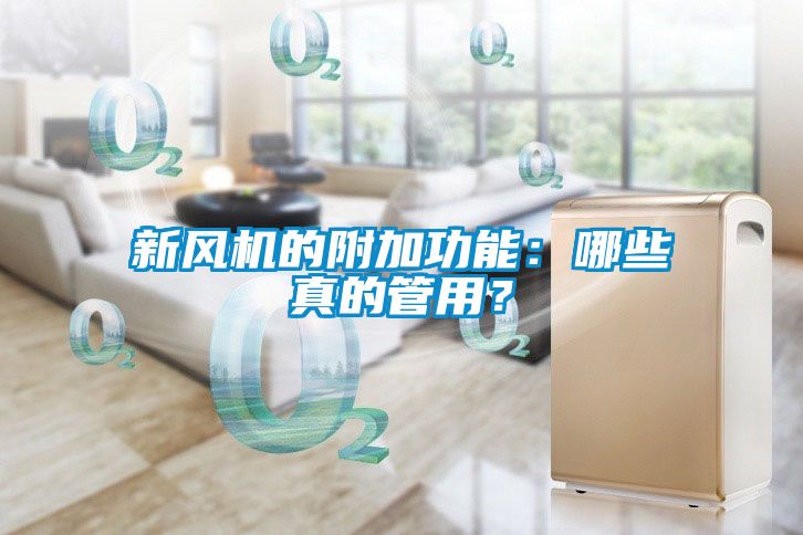 新风机的附加功能：哪些真的管用？