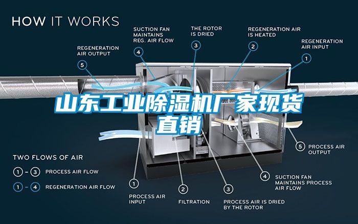 山东工业除湿机厂家现货直销