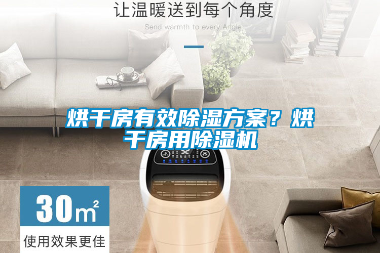 烘干房有效除湿方案？烘干房用除湿机
