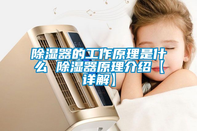 除湿器的工作原理是什么 除湿器原理介绍【详解】