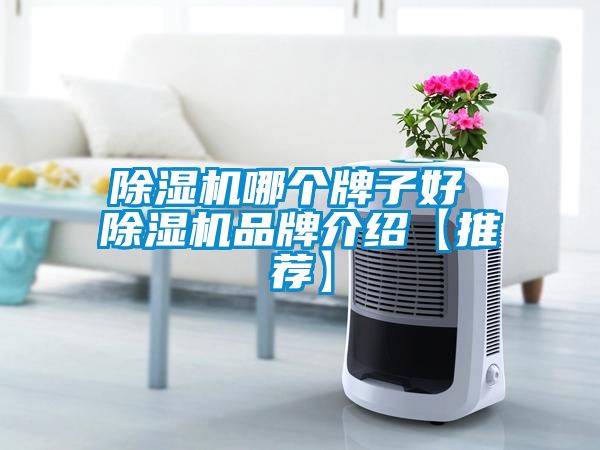 除湿机哪个牌子好 除湿机旭彩网【推荐】