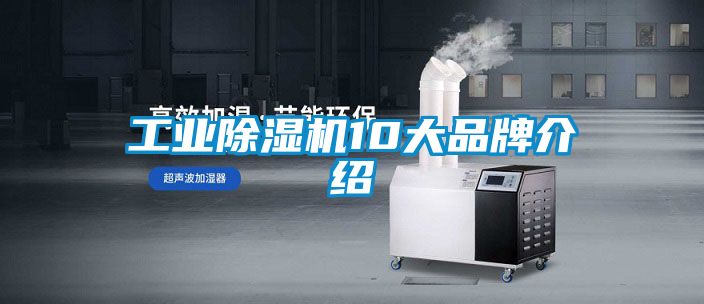 工业除湿机10大旭彩网