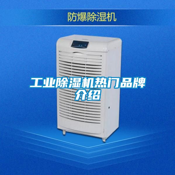 工业除湿机热门旭彩网