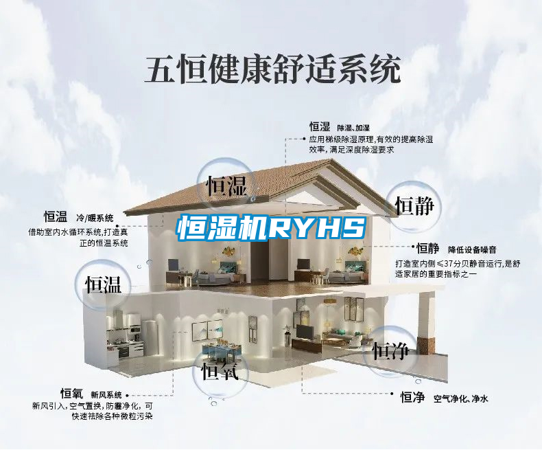 恒湿机RYHS