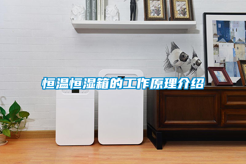 恒温恒湿箱的工作原理介绍