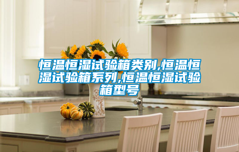 恒温恒湿试验箱类别,恒温恒湿试验箱系列,恒温恒湿试验箱型号