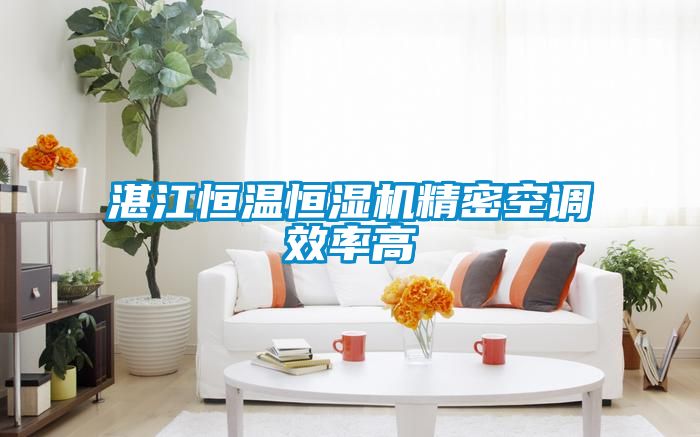 湛江恒温恒湿机精密空调效率高