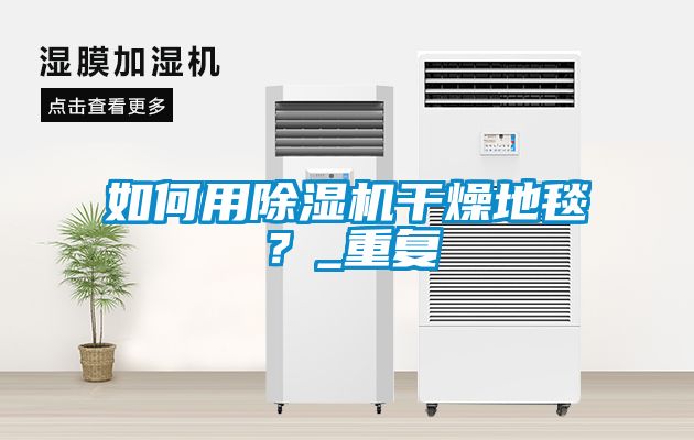 如何用除湿机干燥地毯？_重复