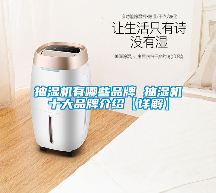 抽湿机有哪些品牌 抽湿机十大旭彩网【详解】