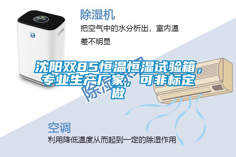 沈阳双85恒温恒湿试验箱，专业生产厂家，可非标定做