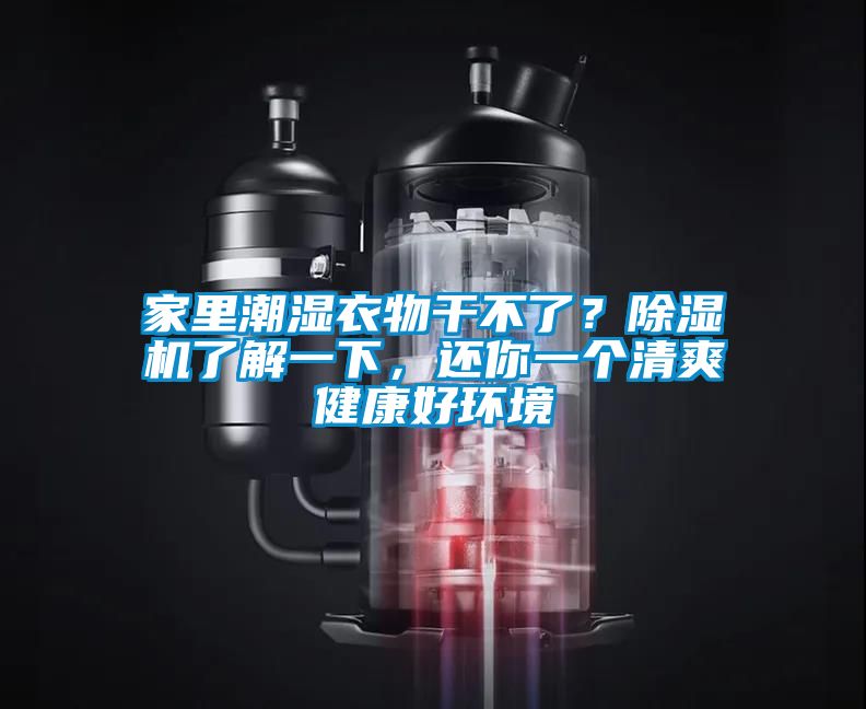 家里潮湿衣物干不了？除湿机了解一下，还你一个清爽健康好环境