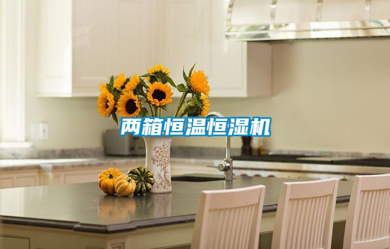 两箱恒温恒湿机