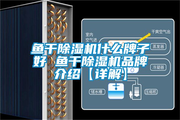 鱼干除湿机什么牌子好 鱼干除湿机旭彩网【详解】