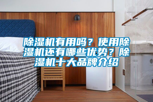 除湿机有用吗？使用除湿机还有哪些优势？除湿机十大旭彩网