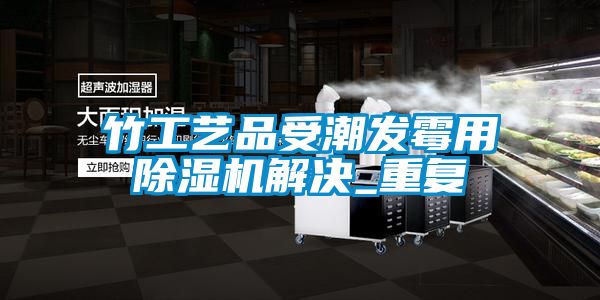竹工艺品受潮发霉用除湿机解决_重复