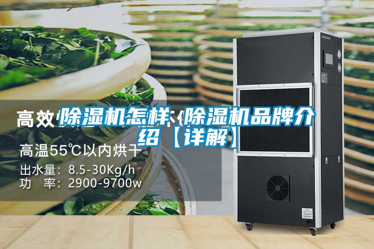 除湿机怎样 除湿机旭彩网【详解】