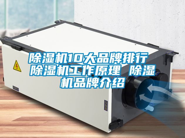 除湿机10大品牌排行 除湿机工作原理 除湿机旭彩网