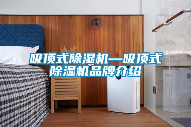 吸顶式除湿机—吸顶式除湿机旭彩网