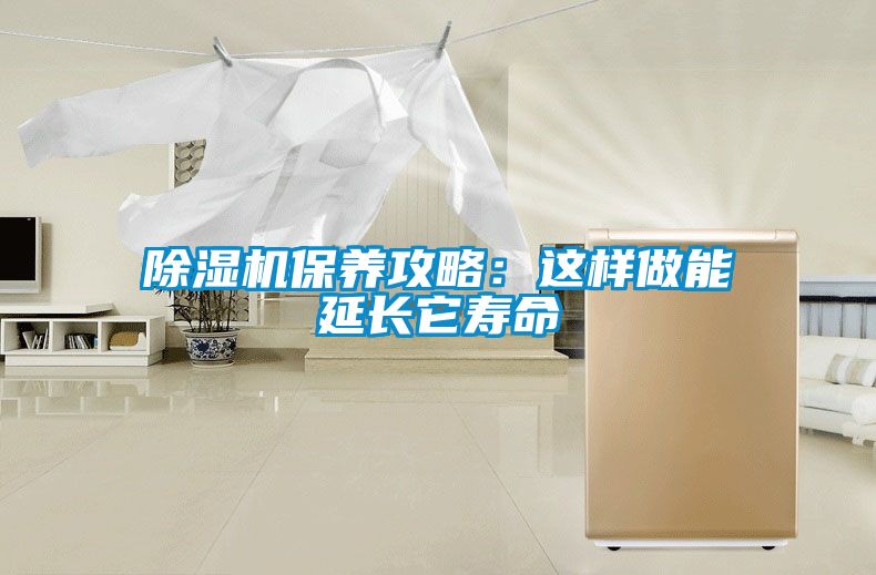 除湿机保养攻略：这样做能延长它寿命