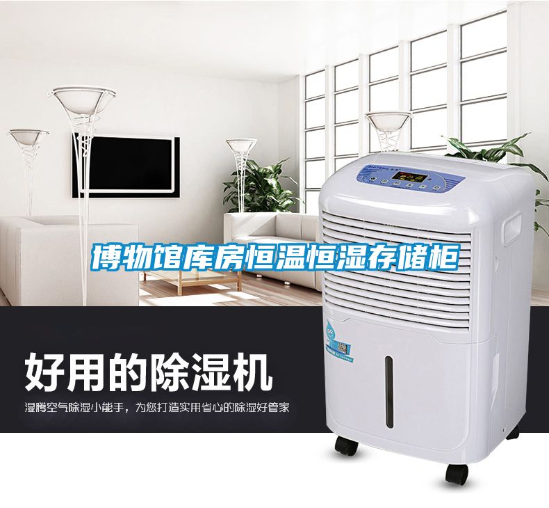 博物馆库房恒温恒湿存储柜