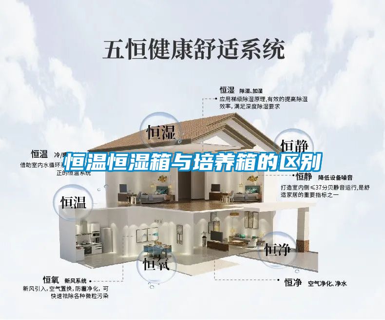 恒温恒湿箱与培养箱的区别