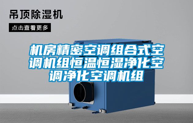 机房精密空调组合式空调机组恒温恒湿净化空调净化空调机组