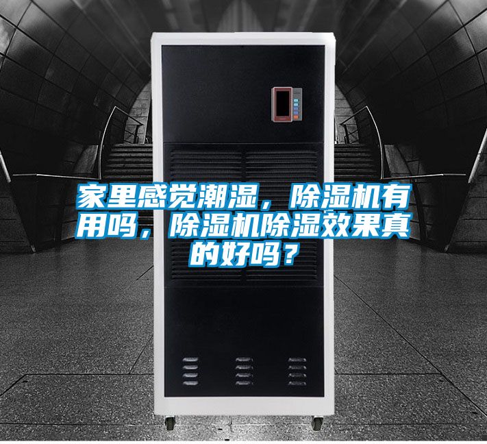 家里感觉潮湿，除湿机有用吗，除湿机除湿效果真的好吗？