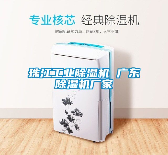 珠江工业除湿机 广东除湿机厂家