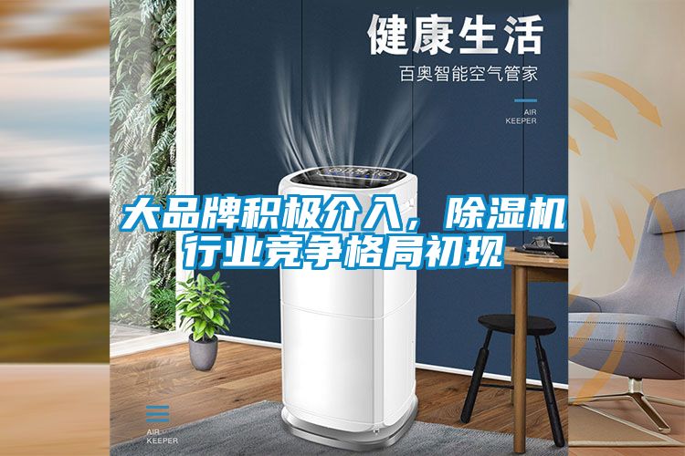 大品牌积极介入，除湿机行业竞争格局初现