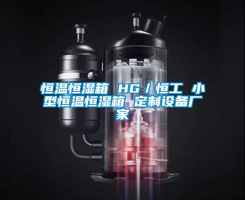 恒温恒湿箱 HG／恒工 小型恒温恒湿箱 定制设备厂家