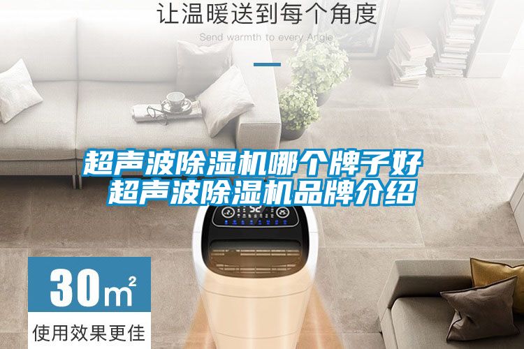 超声波除湿机哪个牌子好 超声波除湿机旭彩网