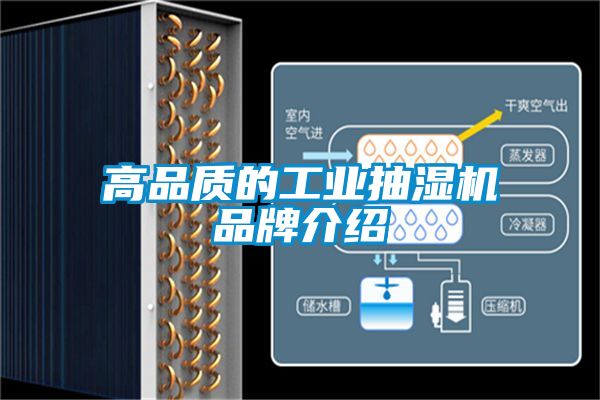 高品质的工业抽湿机旭彩网