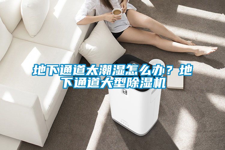 地下通道太潮湿怎么办？地下通道大型除湿机