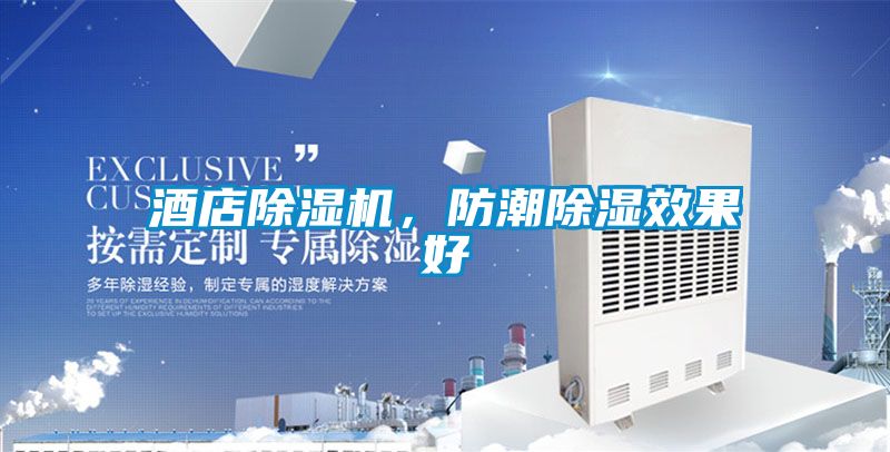 酒店除湿机，防潮除湿效果好