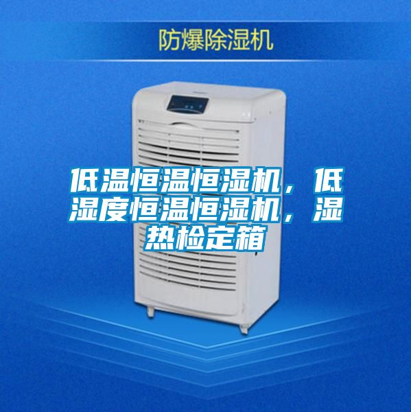 低温恒温恒湿机，低湿度恒温恒湿机，湿热检定箱