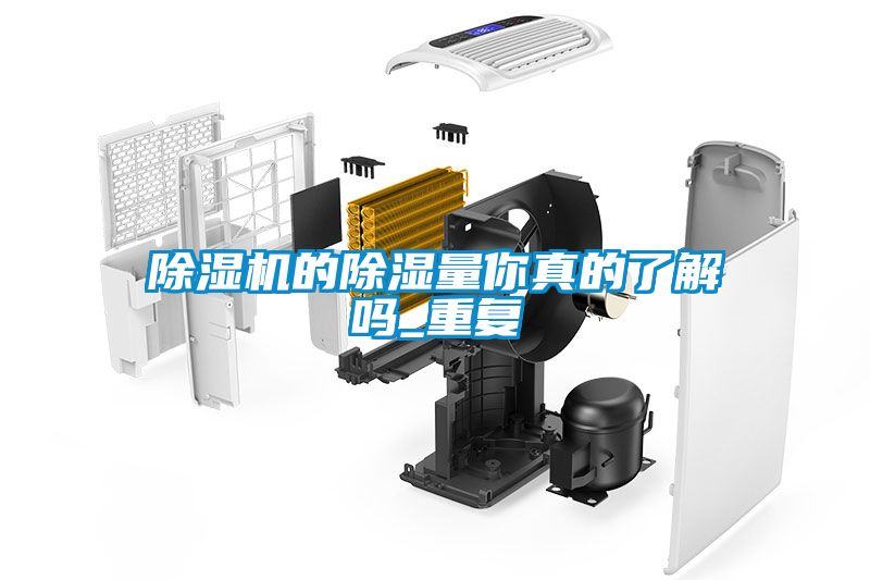 除湿机的除湿量你真的了解吗_重复