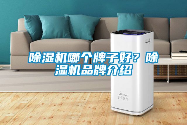 除湿机哪个牌子好？除湿机旭彩网