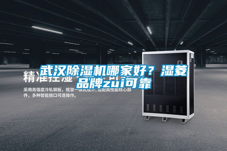 武汉除湿机哪家好？湿菱品牌zui可靠
