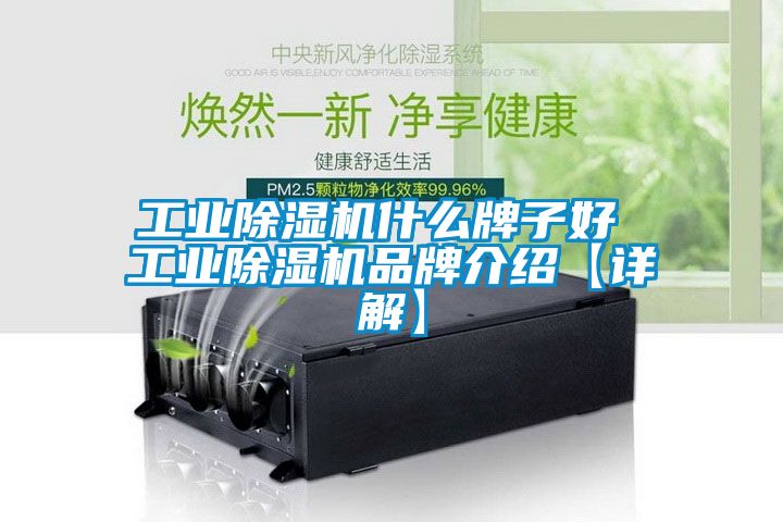 工业除湿机什么牌子好 工业除湿机旭彩网【详解】