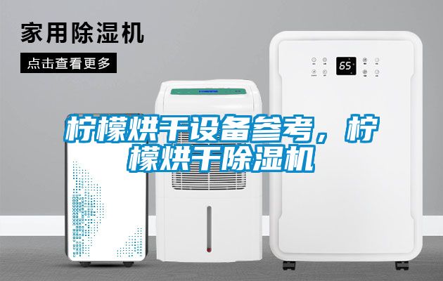 柠檬烘干设备参考，柠檬烘干除湿机
