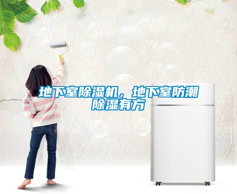 地下室除湿机，地下室防潮除湿有方