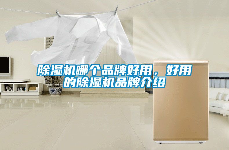 除湿机哪个品牌好用，好用的除湿机旭彩网