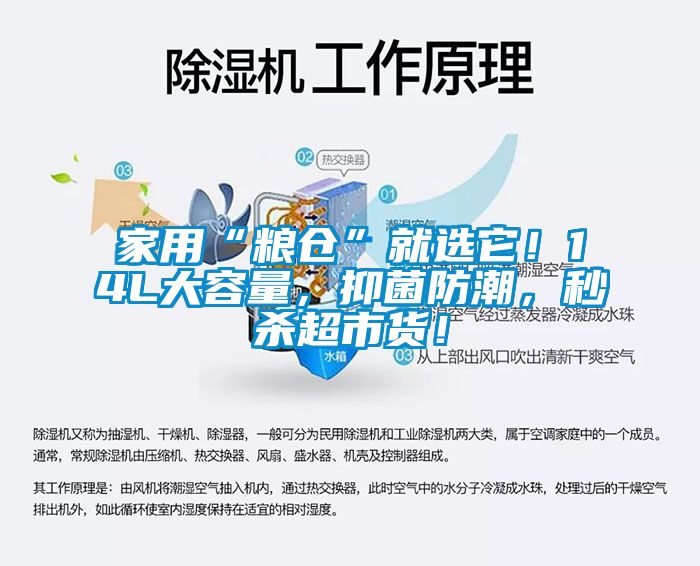 家用“粮仓”就选它！14L大容量，抑菌防潮，秒杀超市货！