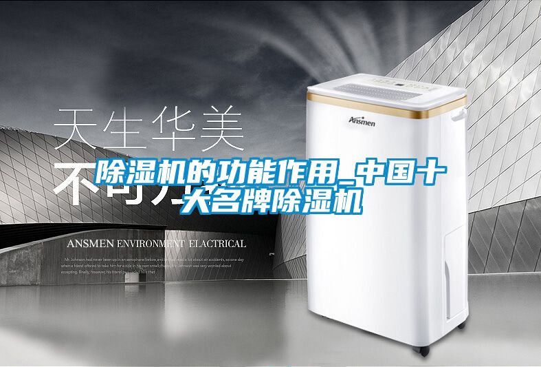 除湿机的功能作用_中国十大名牌除湿机