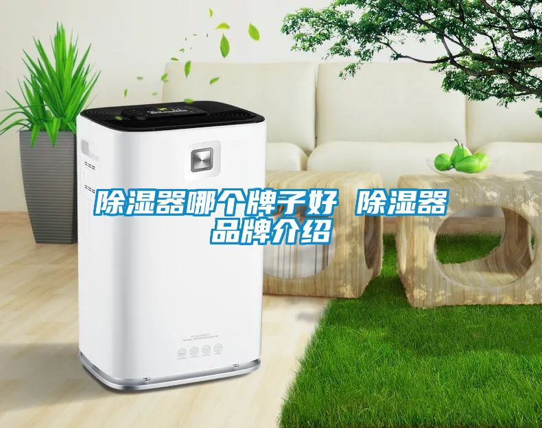 除湿器哪个牌子好 除湿器旭彩网