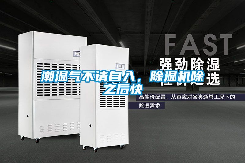 潮湿气不请自入，除湿机除之后快
