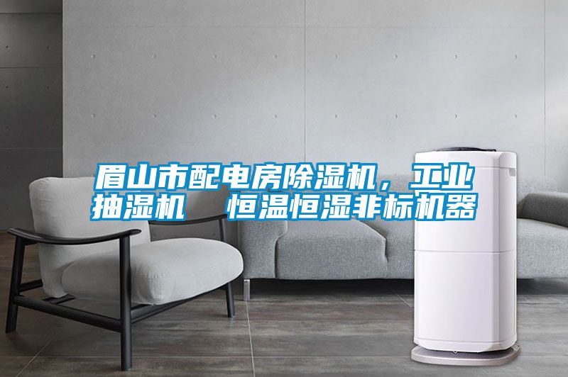 眉山市配电房除湿机，工业抽湿机  恒温恒湿非标机器
