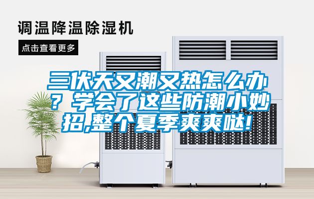 三伏天又潮又热怎么办？学会了这些防潮小妙招,整个夏季爽爽哒!