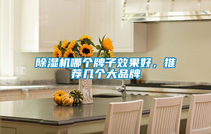 除湿机哪个牌子效果好，推荐几个大品牌