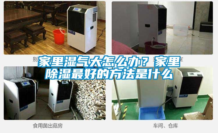家里湿气大怎么办？家里除湿最好的方法是什么